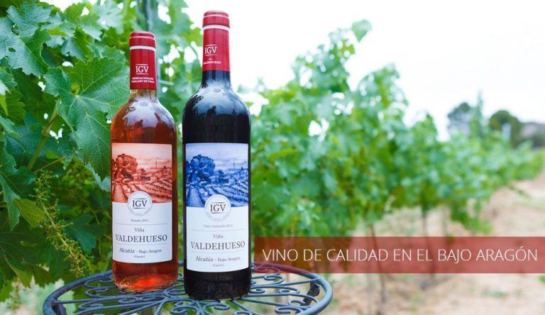 bodegasguallart alcaniz 1 768x444