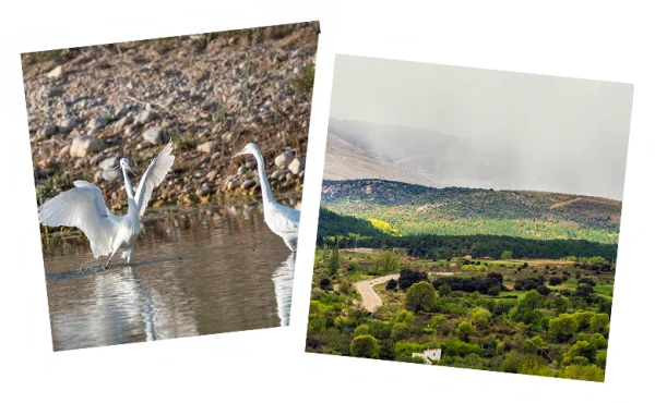 geoland-banner